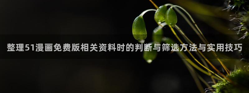 免费漫画热门连载:整理51漫画免费版相关资料时的判断与筛选方法与实用技巧
